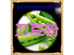 刀豆提取物 厂家生产