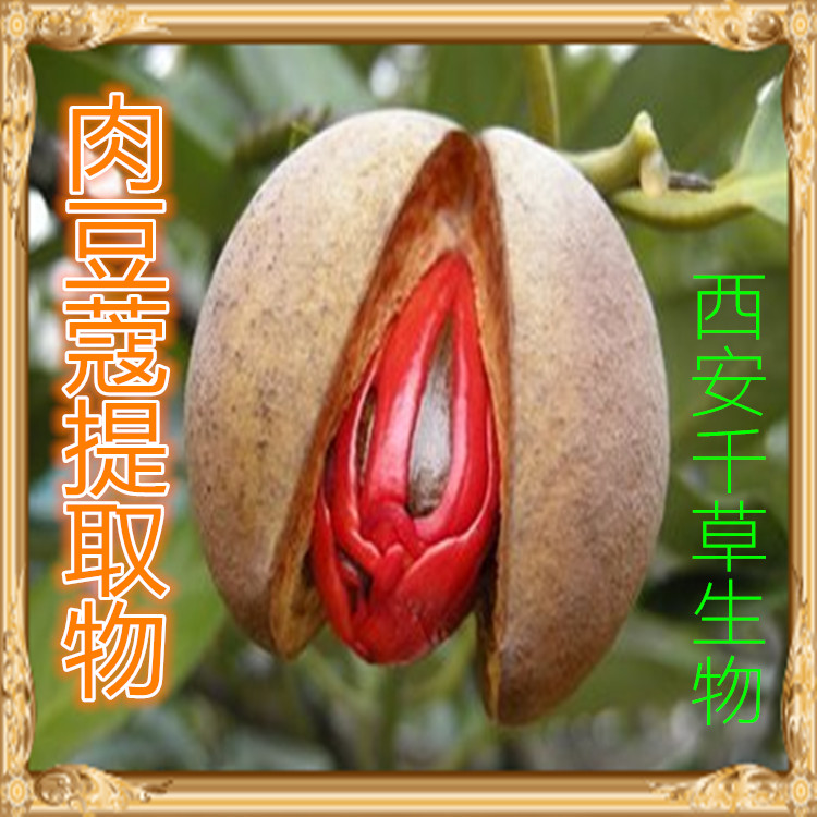 牛胃提取物水溶粉