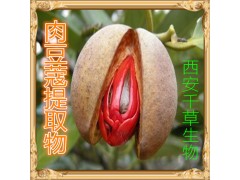 牛胃提取物水溶粉