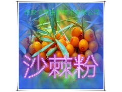 沙棘提取物 厂家直发