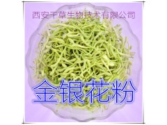 金银花提取物 厂家生产