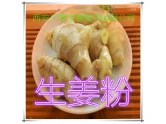 生姜提取物 厂家生产