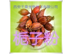 栀子提取物 厂家直发