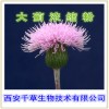 大蓟浓缩粉 纯植物提取