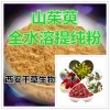 山茱萸提取物 低价特供