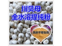 川贝母浸膏粉 实力厂家生产