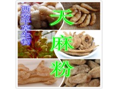 天麻浸膏粉 厂家直供