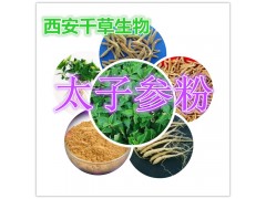 太子参提取物 纯植物提取