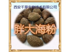 胖大海提取物 胖大海粉 厂家生产