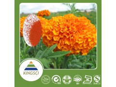 陕西康盛生物供应万寿菊提取物5%~80%质量保证