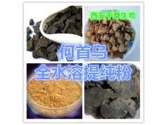 何首乌提取物 厂家生产