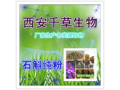 石斛提取物 厂家生产