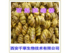 石斛浓缩粉 厂家生产