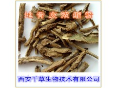 地骨皮浸膏粉 厂家生产