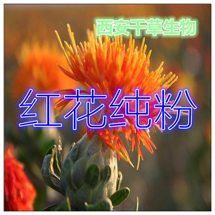 文蛤提取物水溶粉