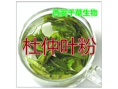 贯众浓缩粉水溶粉