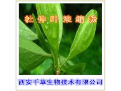 杜仲叶浸膏粉 低价特供