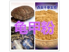 龟甲浓缩粉 纯植物提取