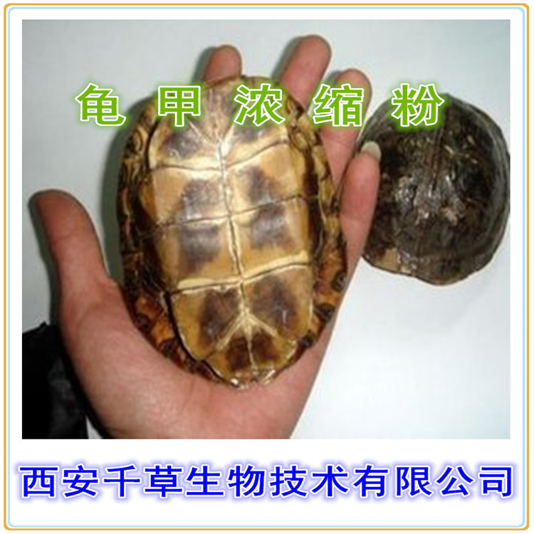 雪蟹提取物水溶粉