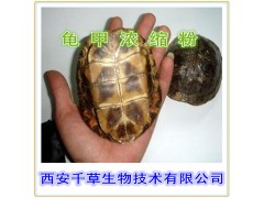 龟甲浸膏粉 低价特供