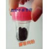 石斛浓缩粉水溶粉