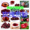 玫瑰茄浸膏粉 低价特供