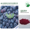 蓝莓果粉 蓝莓提取物 天然提取 100%速溶 厂家直销