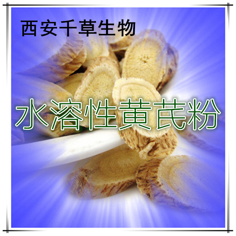 黄芪粉99