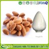 Bitter Apricot Amygdalin