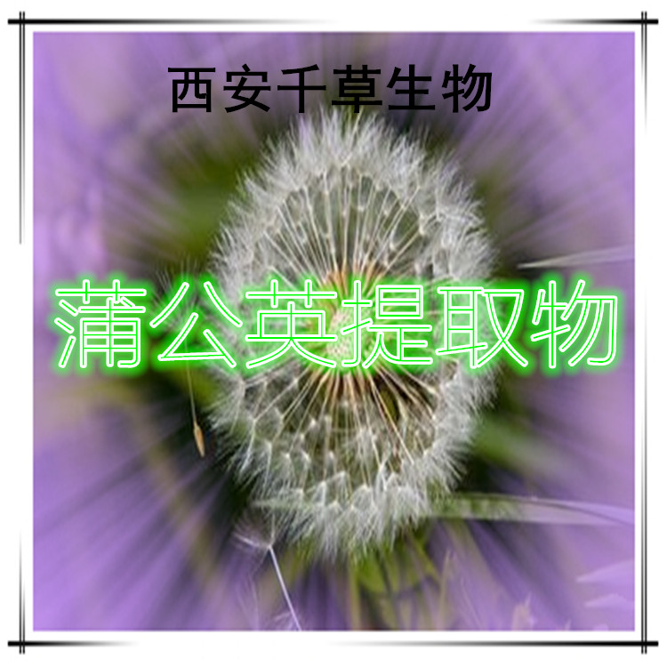 蒲公英提取物3