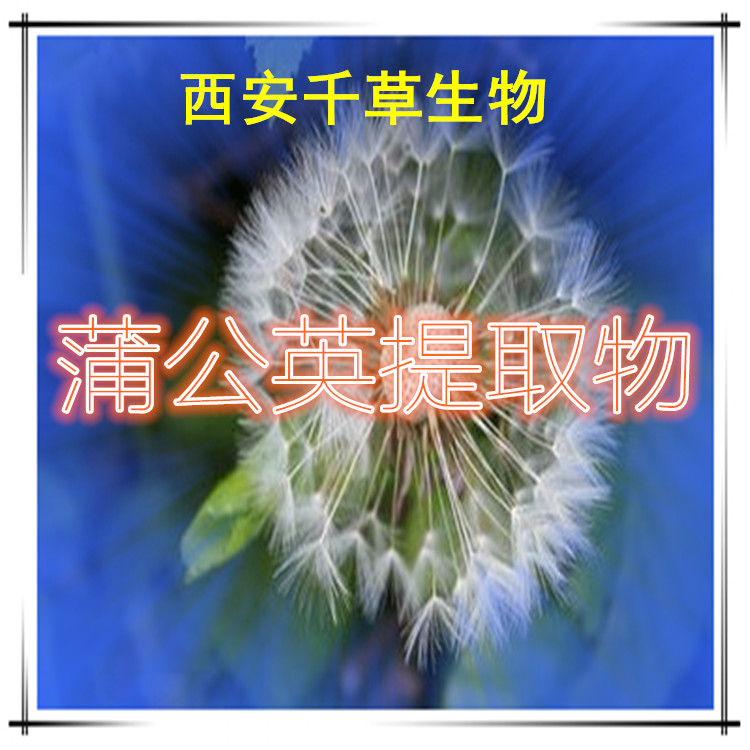 蒲公英提取物5