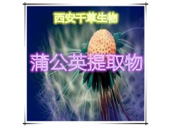 蒲公英浓缩粉