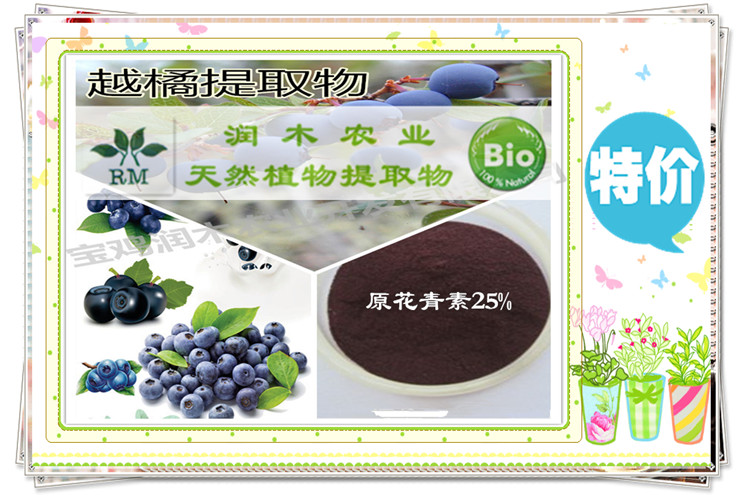 宝鸡润木 厂家供应优质 蓝莓提取物 花青素25%