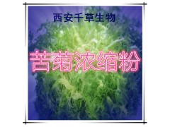 苦菊粉 规格齐全 西安千草厂家生产 现货直销