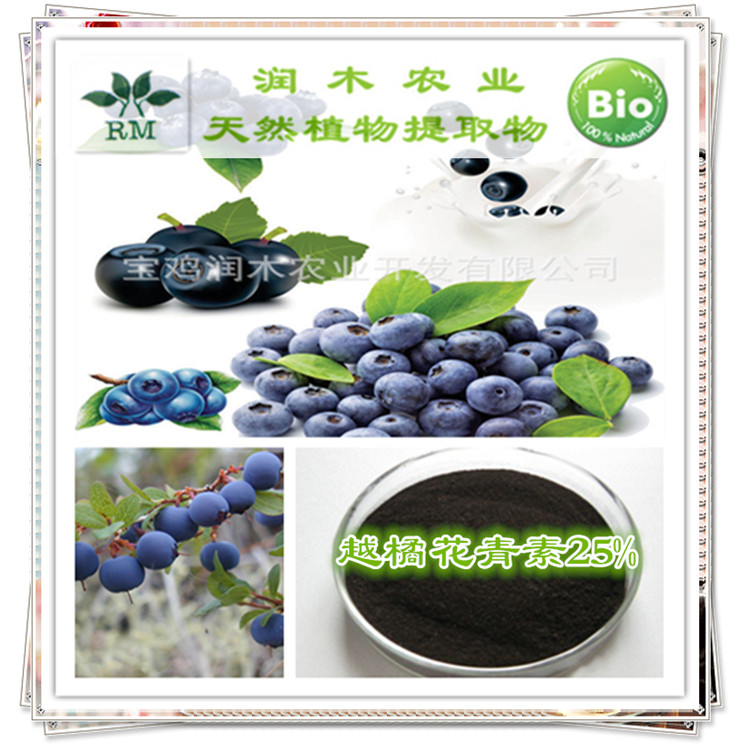 宝鸡润木 厂家供应优质 蓝莓提取物 花青素25%（欧标）
