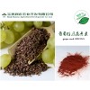 葡萄籽提取物原花青素９５％