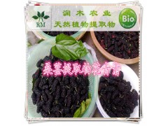 桑葚提取物 10%花青素