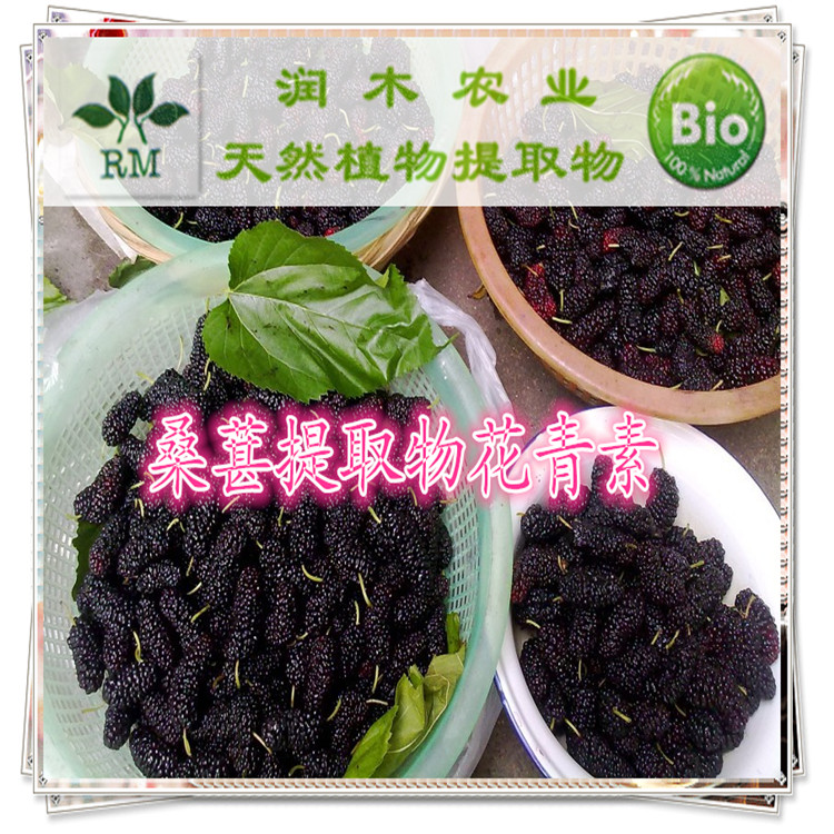 桑葚果粉 桑葚提取物 富含花青素 花色苷 美白抗氧化原料