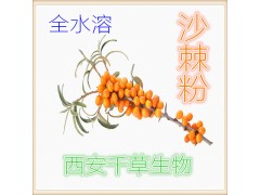 沙棘粉
