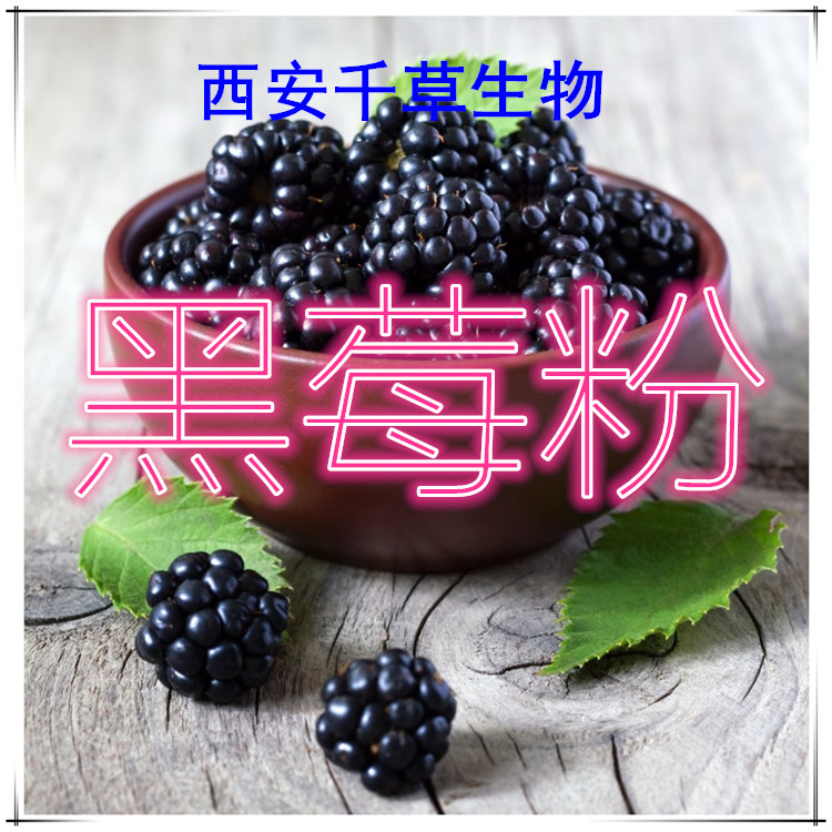 黑莓粉