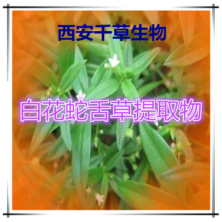 白花蛇舌草提取物