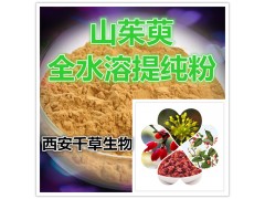 山茱萸提取物山茱萸粉