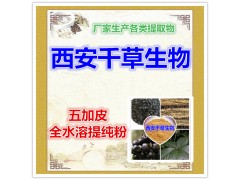 五加皮提取物五加皮粉