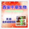 天麻提取物天麻粉