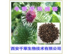 牛蒡子提取物牛蒡子粉
