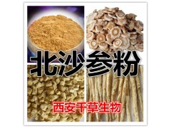 北沙参提取物北沙参粉