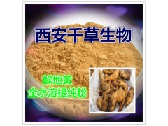 鲜地黄提取物鲜地黄粉