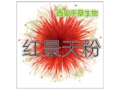 红景天提取物红景天粉