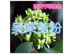吴茱萸提取物吴茱萸粉
