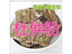 杜仲提取物杜仲粉